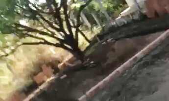 Imagem 5: Vende-se LINDA CHÁCARA no CONDOMÍNIO COWTRY HALL com acesso comunitário ao lago de Palmas