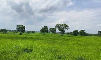 Imagem 5: Sítio em Nossa Senhora do Livramento à venda