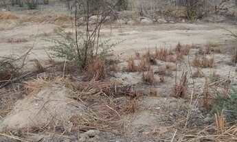 Imagem 2: Vende-se terreno