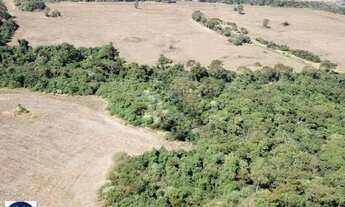 Imagem 7: Terra à Venda em Silvânia/GO - 75 hectares