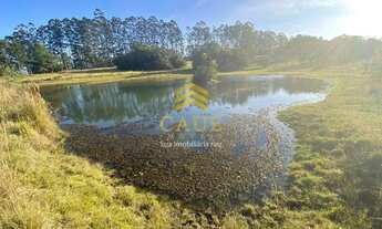 Imagem: Imóvel para venda possui 130000 metros