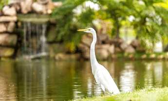Imagem 6: Terreno à venda em Condomínio Florais da Mata - Varzea Grande MT