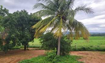 Imagem 3: Venda de excelente fazenda em Manga -MG