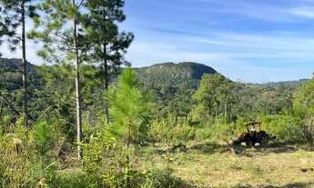 Imagem 4: Sítio 2 hectares em Gravataí-Santa tecla