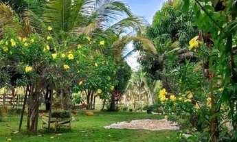 Imagem: TERRENO 1.000m² RESIDENCIAL CANON MAIRINQUE