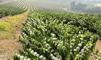 Imagem 6: Imóvel para venda tem 151000000 metros quadrados com 1 quarto