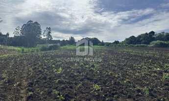 Imagem 7: Chácara 53.000 m² / 3 casas / lagos / 8 minutos da BR / Cachoeira / São Jose dos Pinhas