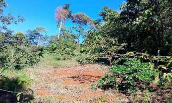 Imagem 6: Chácara.. 1000 metros..