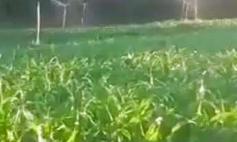 Imagem 4: Ótima Estrutura Numa Área 5 hectares.100% Aproveitável..Aceita veículo/imóvel.