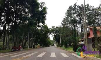Imagem 5: TERRENO EM CONDOMÍNIO - LOTEAMENTO JARDIM DAS PAINEIRAS - SP