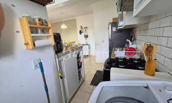 Imagem 14: Apartamento à venda, 2 quartos, 1 vaga, Residencial Irmãos Mafra II, Bairro São Vicente, I