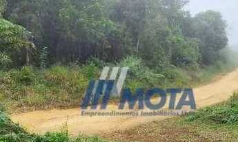 Imagem 5: Ótima área a venda Campo Largo 11,8 alqueires R$ 280.000