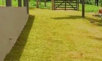 Imagem 4: Vende-se chácara no Município de Goianira