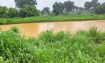 Imagem 7: Venda de excelente fazenda em Manga -MG