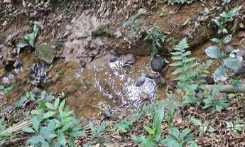 Imagem 5: Excelente terreno em Juquitiba