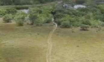 Imagem 3: VENDO FAZENDA NA CHAPADA DIAMANTINA