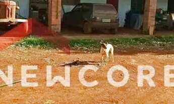 Imagem: Sítio em Cravinhos - Centro - Cravinhos/SP