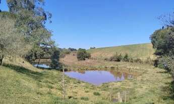 Imagem 4: Chácara a venda com casa, poço artesiano e 2 tanques em Contenda - PR