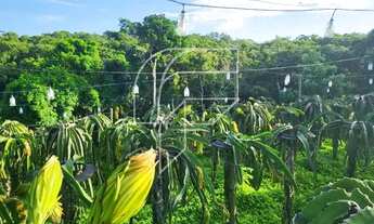 Imagem 4: Imóvel para venda tem 5000 metros quadrados com 3 quartos em Meaípe - Guarapari - ES
