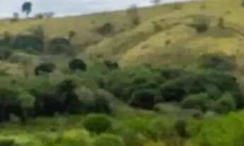 Imagem: Terrenos para Airbnb no interior de SP