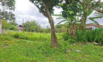 Imagem 3: Terreno Itanhaem com escritura