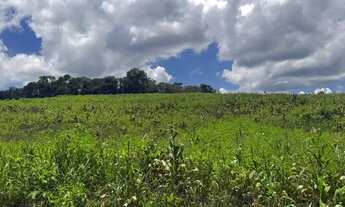 Imagem 5: Terrenos para venda tem 1000 metros quadrados em Colégio - Ibiúna - SP