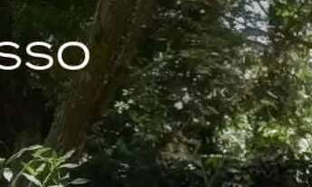 Imagem: Lago Montenegro últimos LOTES