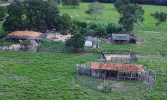 Imagem 4: Fazenda em Cáceres na Beira do Asfalto 113 hectares