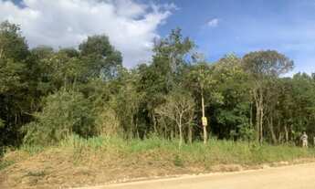 Imagem 3: Área no Roça Grande - Colombo PR