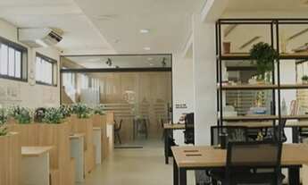 Imagem 6: Mirantes Caminho do Mar