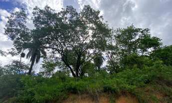 Imagem 4: Lote de 378,90m²