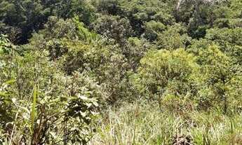 Imagem 3: Terreno à venda, 7927 m² por R$ 911.605,00 - São Sebastião das Águas Claras - Nova Lima/MG