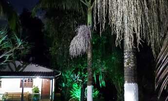 Imagem 7: Fazenda para venda tem 300000 metros quadrados em Centro - Morro do Pilar - MG