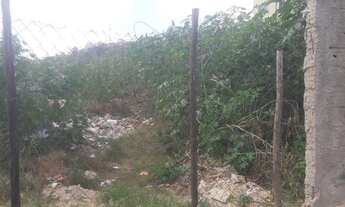 Imagem 4: IBIRITé - Terreno Padrão - Palmeiras