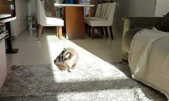 Imagem 7: Casa de vila moderna disponível para locação e venda!