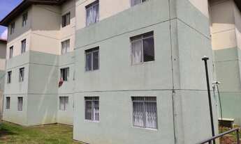 Imagem 2: Apartamento para venda possui 48 metros quadrados com 2 quartos em Sítio Cercado - Curitib