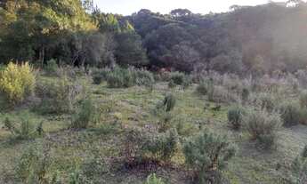 Imagem 4: Linda Chácara Urbana em Piraí do Sul