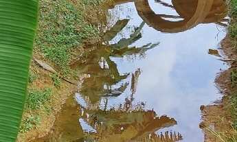 Imagem 2: VENDO CHACARA Chácara com venda por R$70.000