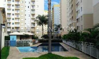 Imagem: Apartamento - Bonfim - Campinas