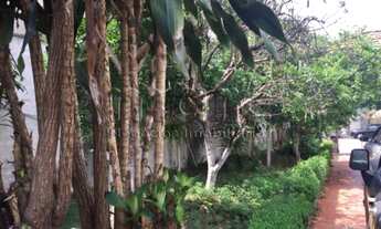 Imagem 5: SAO PAULO - Casa Padrão - CAMBUCI