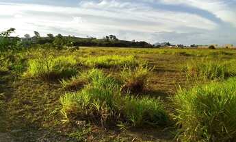 Imagem 7: Terreno Virgem Santa