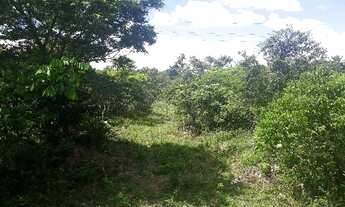 Imagem 4: Terreno para Venda em Candeias, Distrito Industrial