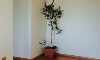 Imagem 4: Apartamento | Cristo Rei | 1 quarto | mobiliado