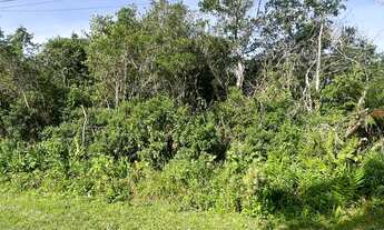 Imagem: Terreno à venda lado praia com 260m² em