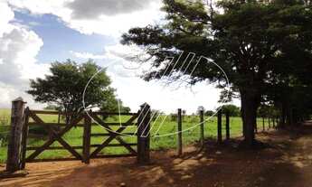 Imagem: área - Vila Hollândia - Campinas