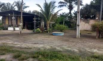 Imagem 2: Pequeno sítio na vila barauana