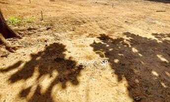 Imagem 3: Ótimos lotes para construção de casas ou Galpão