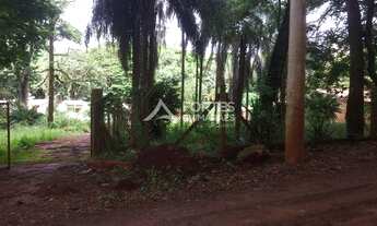 Imagem 4: RIBEIRãO PRETO - Padrão - Jardim Nova Aliança Sul