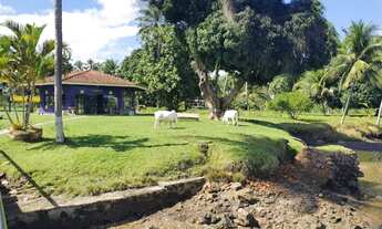 Imagem 5: Vendo Fazenda em Maragogipe/Bahia com 160 Hectares - Oportunidade única!!