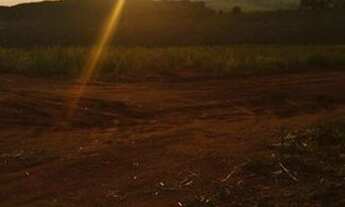 Imagem 4: Venha conhecer os novos terrenos em Mairiporã